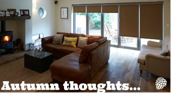 Living room with a wood-burning stove and blinds drawn across the patio doors
